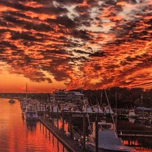 Meet your Posher, Casey